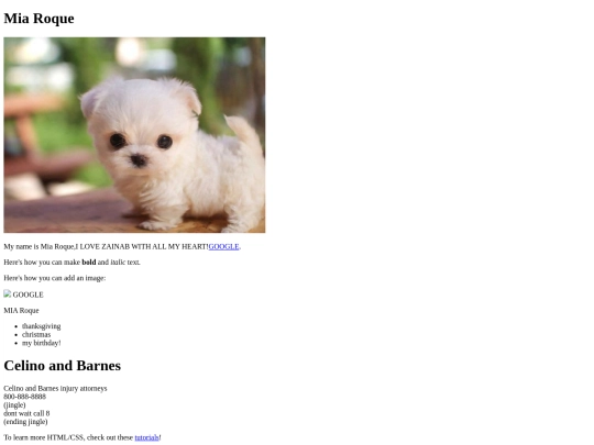 index screenshot