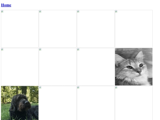Photography Portfolio/iphone screenshot
