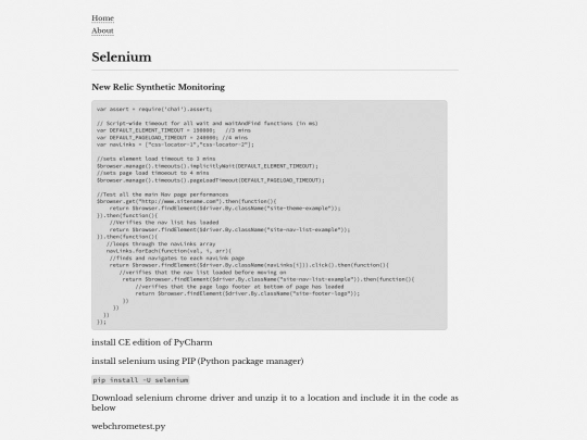 seleniumnr screenshot