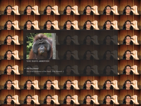 nic screenshot