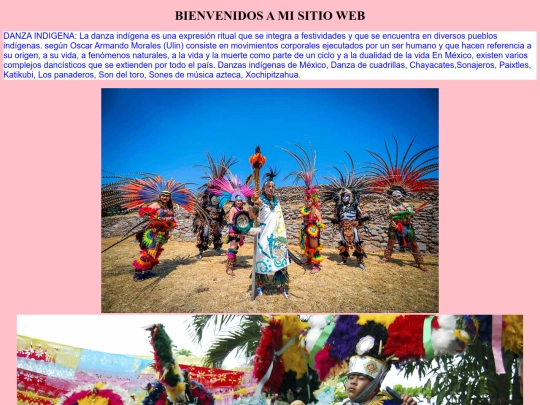 MUESTRACULTURALREGIONALMEXQUITIC2025 screenshot