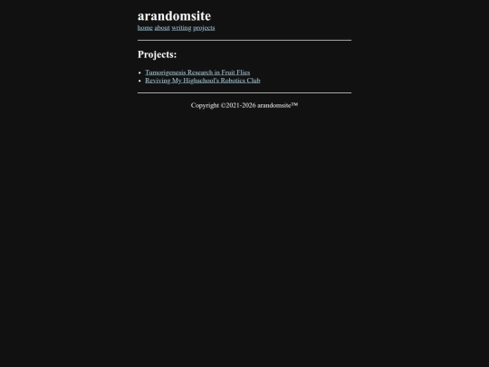 projects screenshot