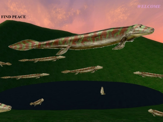 paradise screenshot