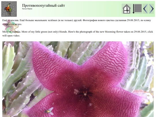 post39 screenshot