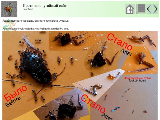 post47 screenshot