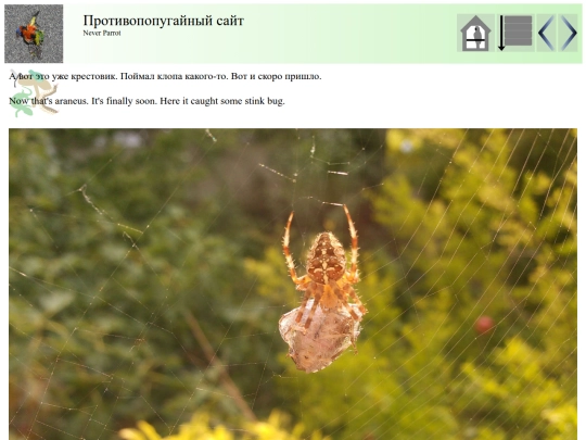 post66 screenshot