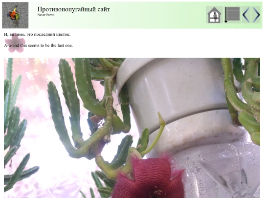post71 screenshot