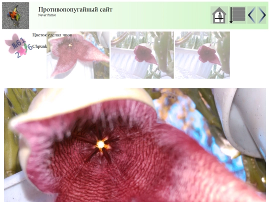 post91 screenshot