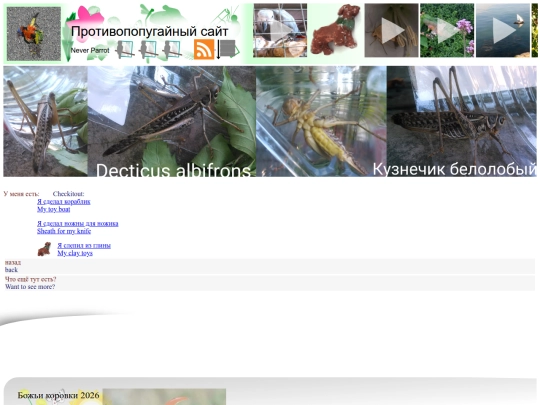 static/must_be_together/site_stapelia_logo screenshot