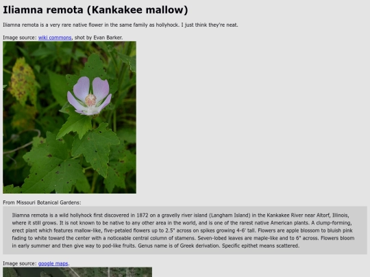 Iliamna_remota screenshot