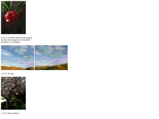 blog/gallery screenshot
