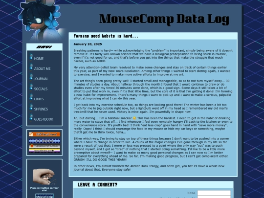 journal/2025/jan20 screenshot