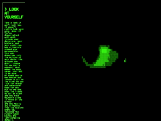 Ascii screenshot