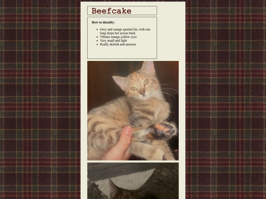 beefcake screenshot
