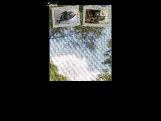 boards screenshot