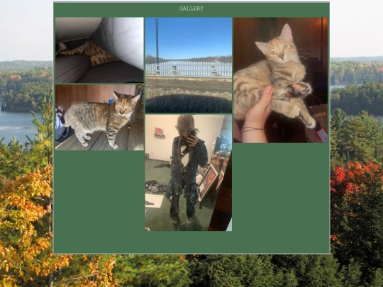 gallery screenshot