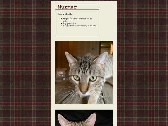 murmur screenshot