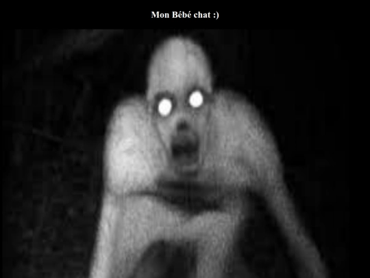 monchat screenshot