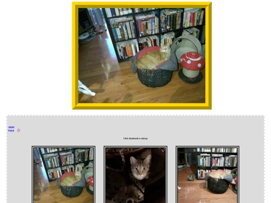 pages/gallery/test screenshot