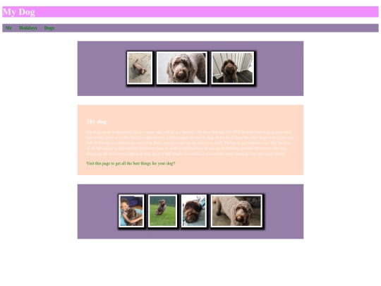 dog screenshot