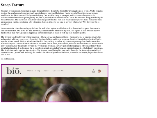 chairless210108 screenshot