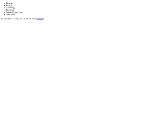 projects screenshot