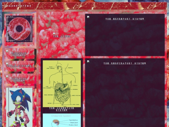 biology/organs screenshot
