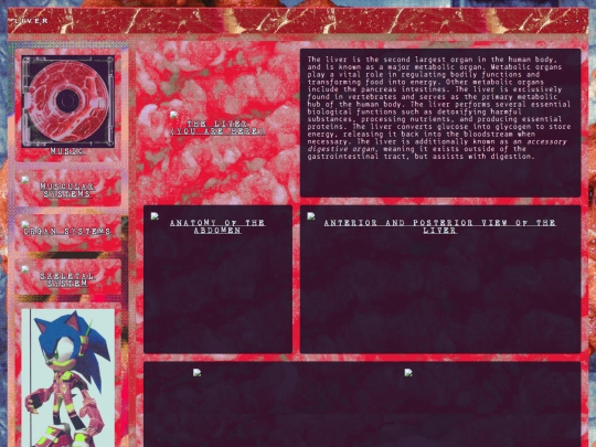 biology/organs/liver screenshot