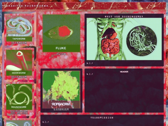 biology/parasites/roundworms screenshot