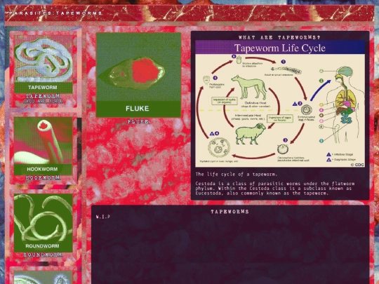 biology/parasites/tapeworms screenshot