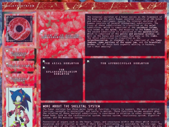 biology/skeletal screenshot