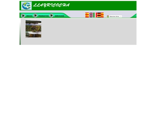 Web_site_Empresa_Tochon/iframe_index screenshot