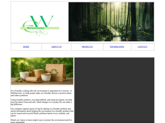 home page screenshot