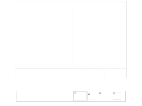 template screenshot