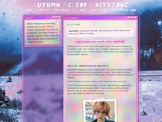 blog screenshot