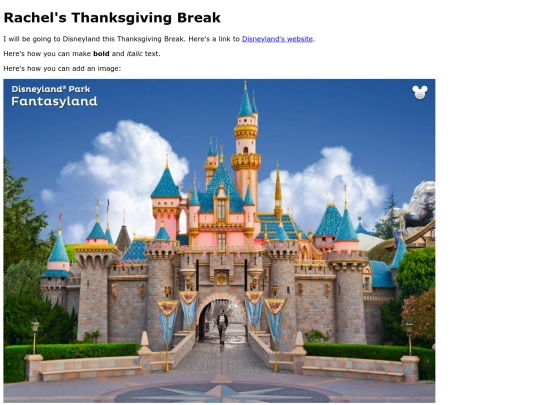 RachelsWebsite screenshot