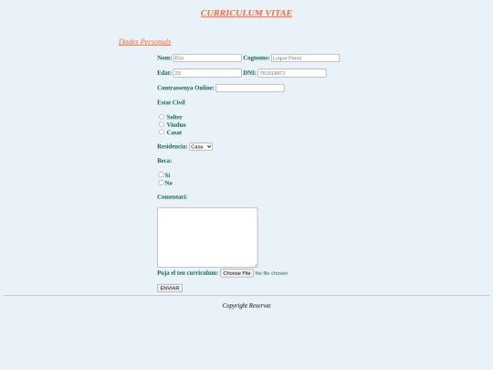 P2/formulari screenshot