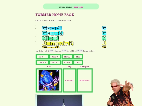 oldhomepage screenshot