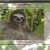 The Sloth Website avatar