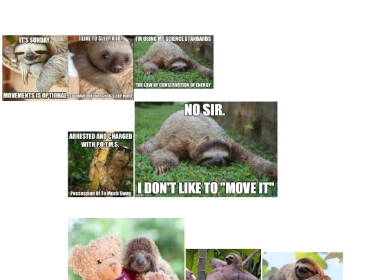memes screenshot