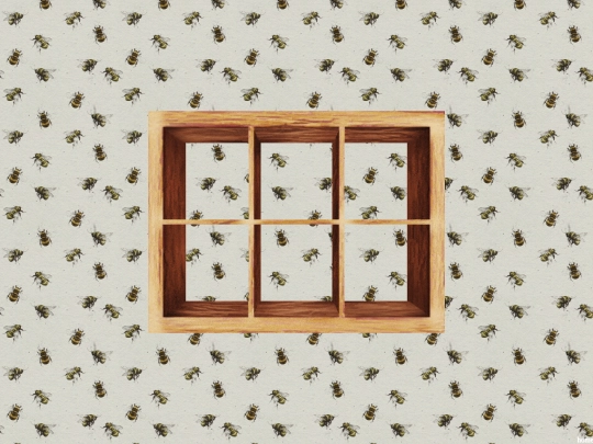 shelves screenshot