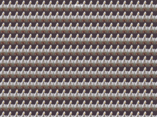 good screenshot