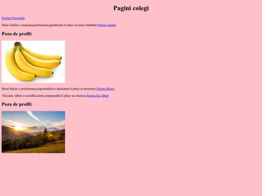 pagina colegi screenshot