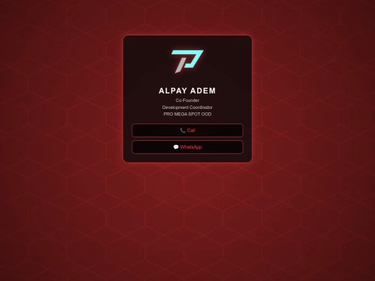 alpay screenshot