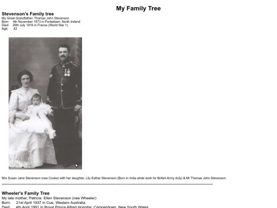 My Family Tree/My Family Tree screenshot