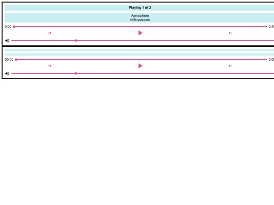 audio/musicplayer screenshot