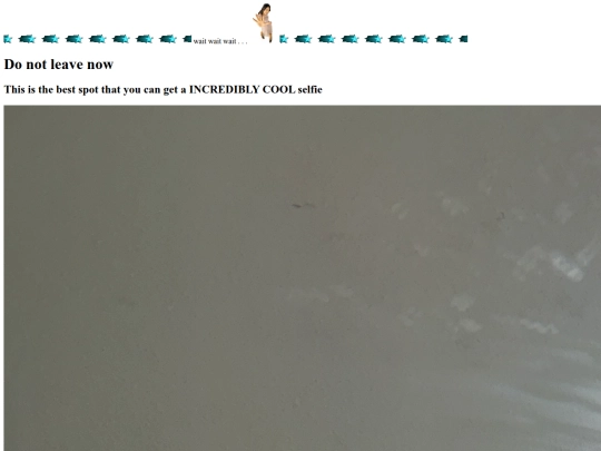 codinginsitu/codinginsitu screenshot