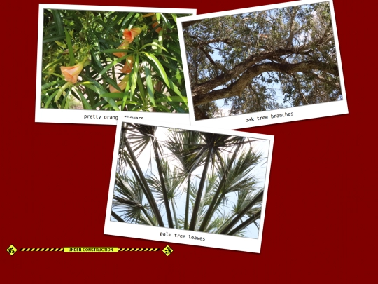 photolab screenshot