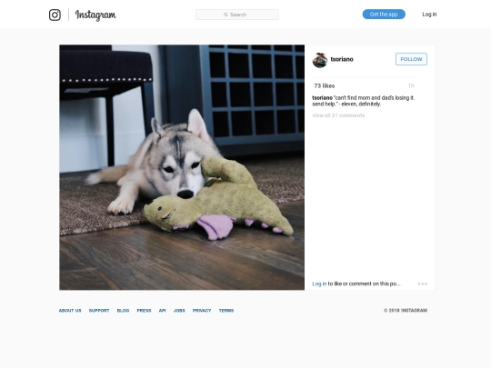 ig/004 screenshot