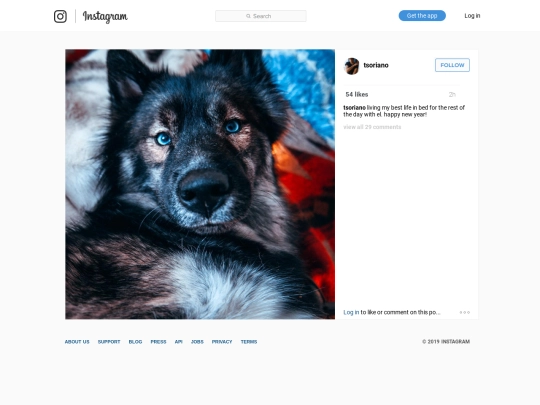 ig/011 screenshot